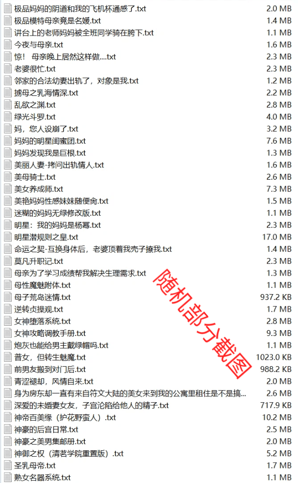 小说展示2